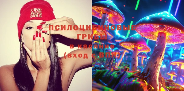 mix Шадринск