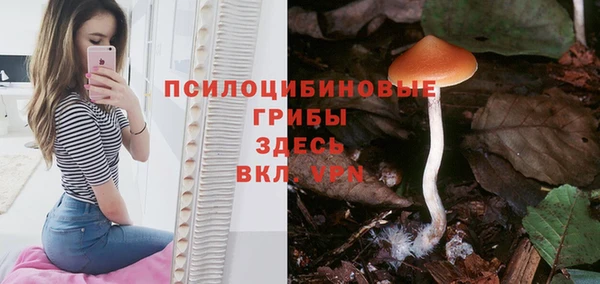 соль ск Чегем
