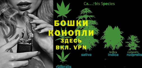 2c-b Чекалин