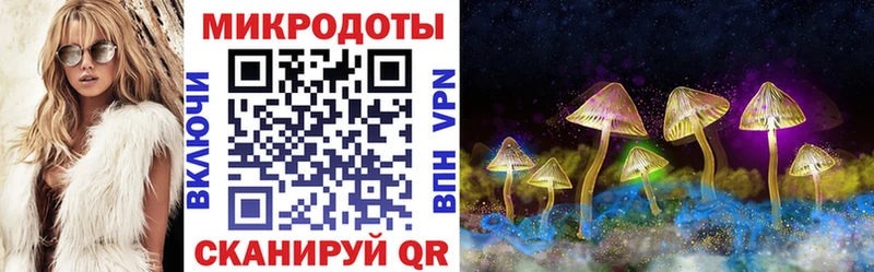omg вход  Бобров  даркнет формула  Галлюциногенные грибы GOLDEN TEACHER 